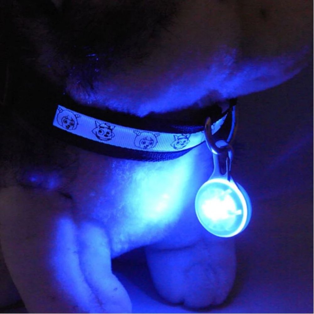 LED Safety Light for Dog Collar, Walking, Jogging, Kids